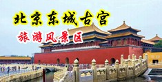 美女巨乳裸体与男子搞基中国北京-东城古宫旅游风景区